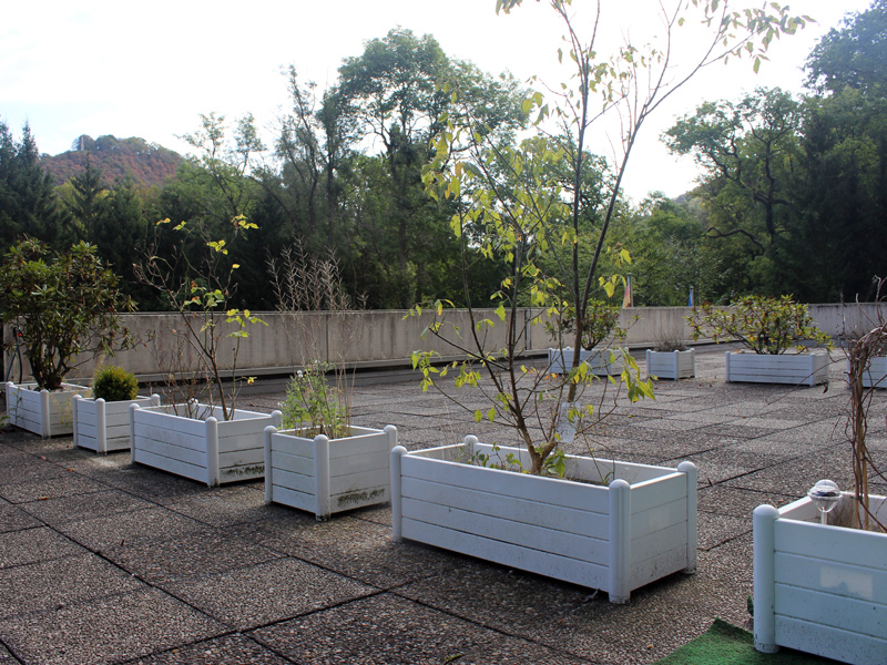 Terasse-und-Dekoration-Ferienwohnung 2